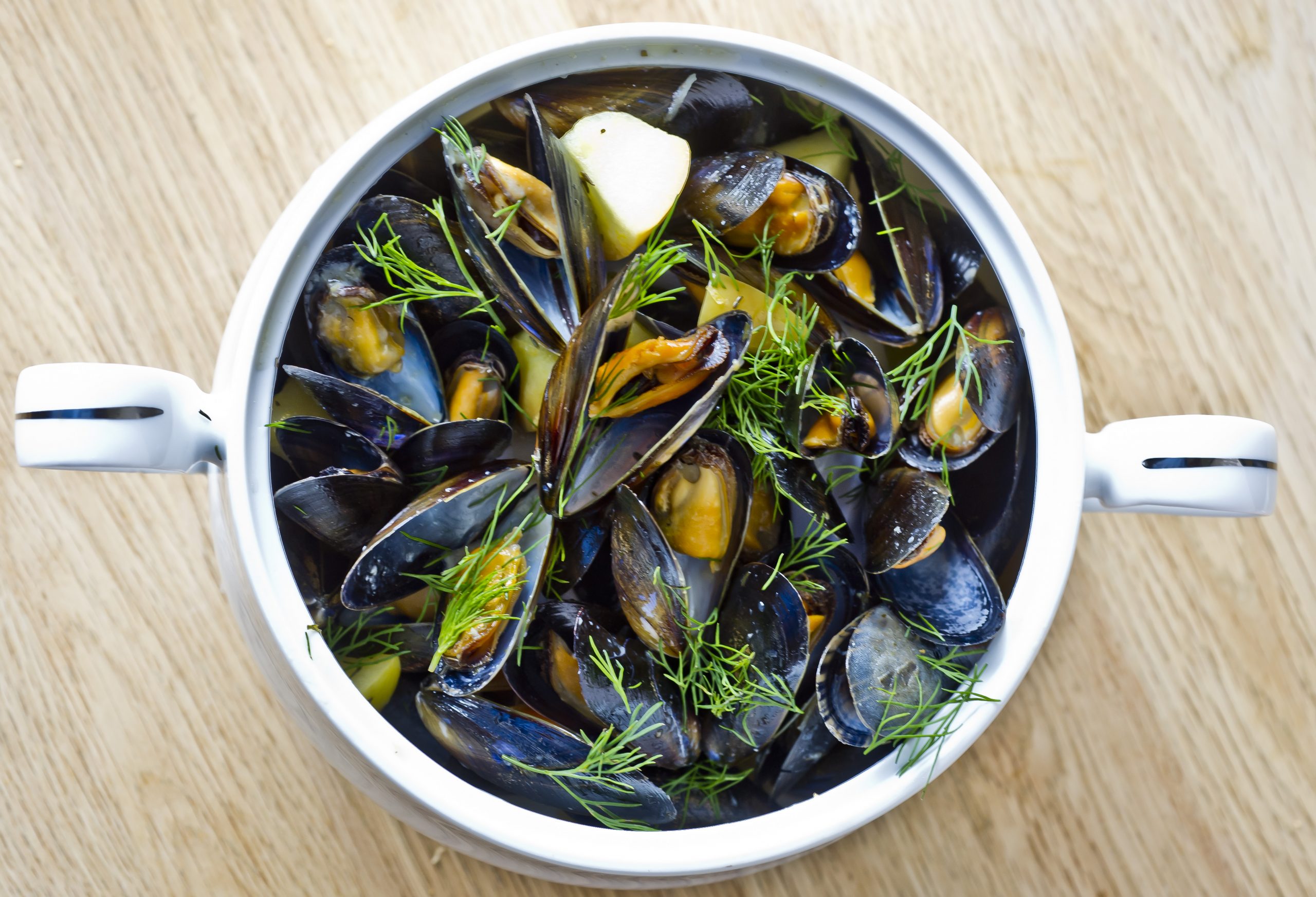 Apply Mussels