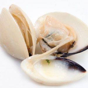 White Clams in Shell