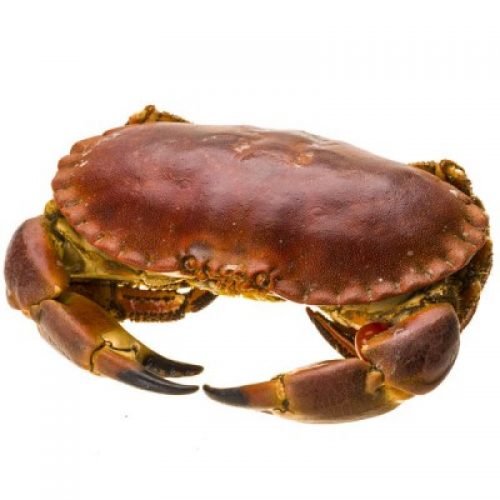 Whole Crab