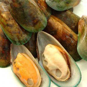 Green Lip Mussels