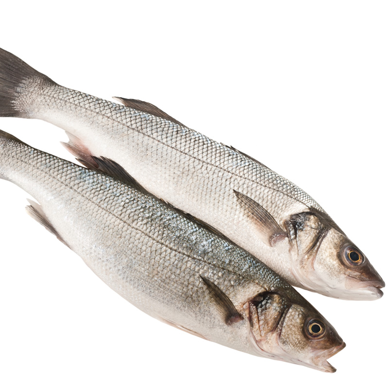 Fresh Whole Wild Welsh Sea Bass